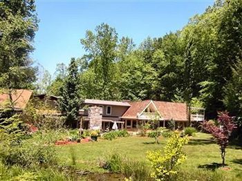 Rock Laurel Bed And Breakfast Candler Exterior photo